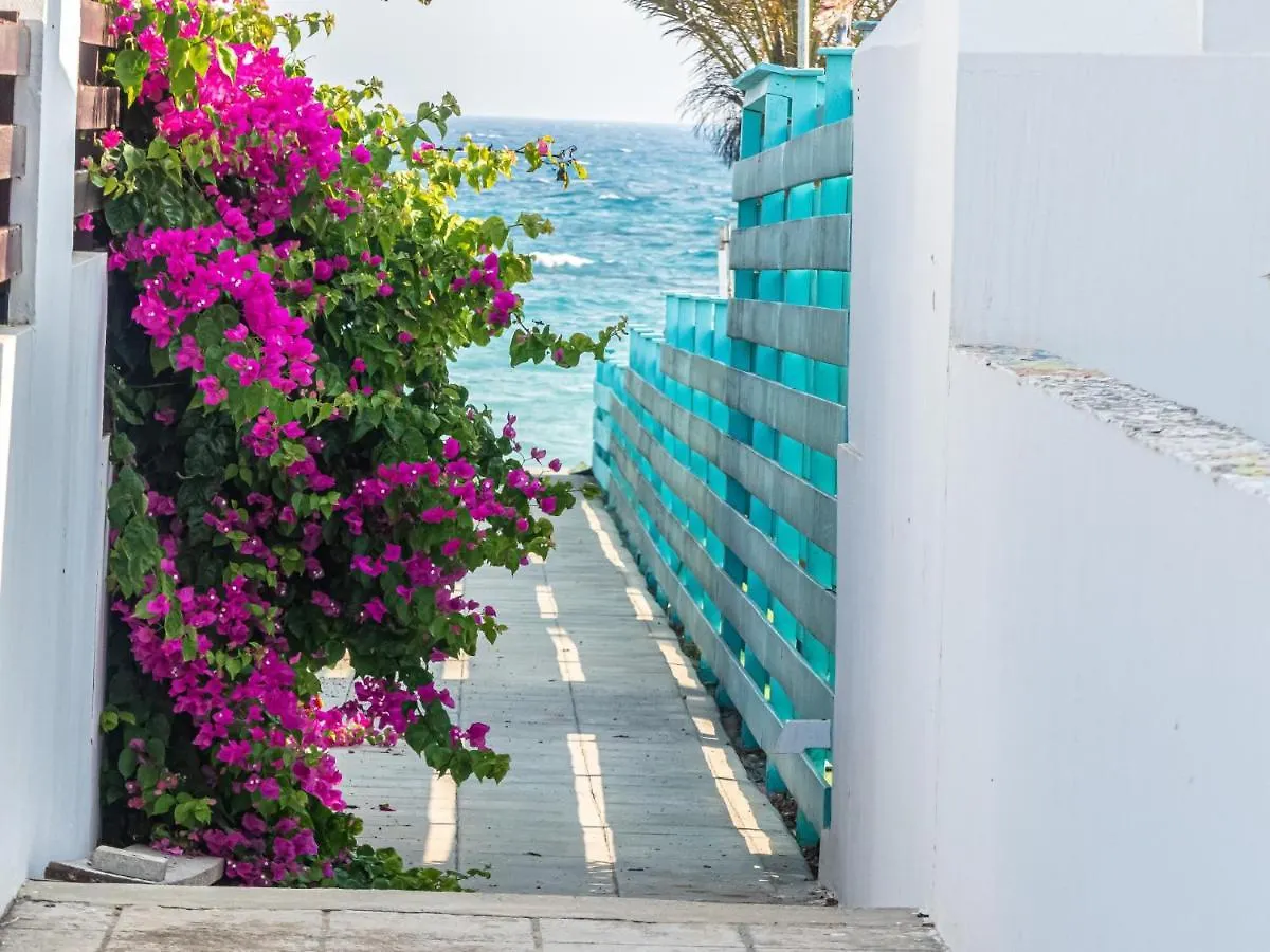 Greek Island Style 2 Bedroom Villa With Pool Next To The Sea 라르나카